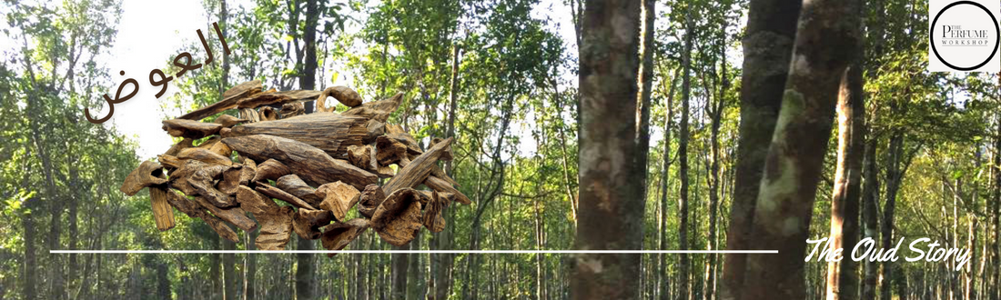 What is Oudh?