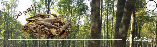 What is Oudh?
